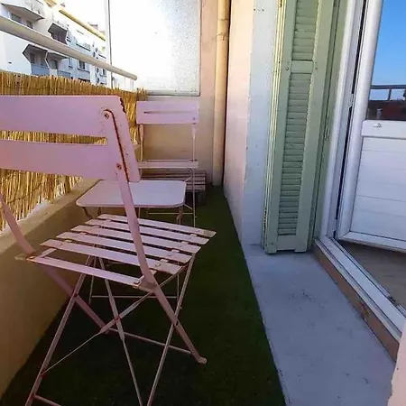 Nid * Bastia (Corsica)