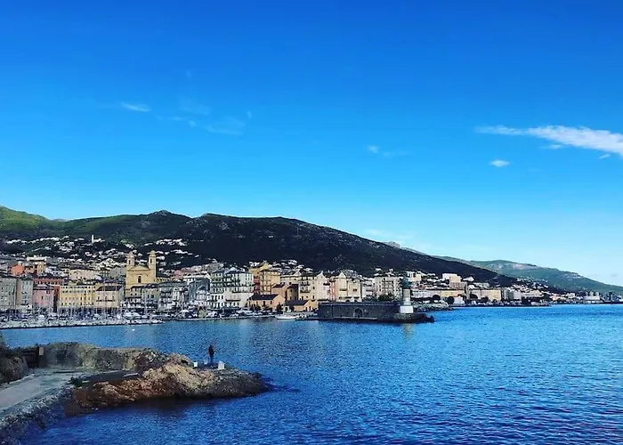 Nid Bastia (Corsica)